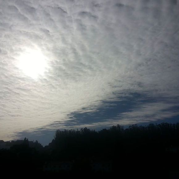 Meet your Posher, Edward thomas - Picture 1 of 1